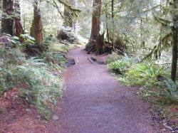 Sol Duc Trail Images