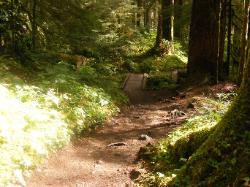 Sol Duc Trail Images