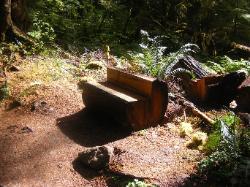 Sol Duc Trail Images
