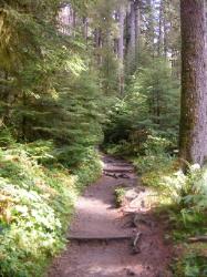 Sol Duc Trail Images