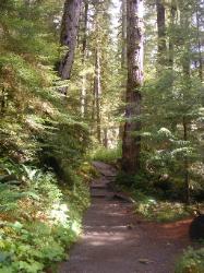 Sol Duc Trail Images