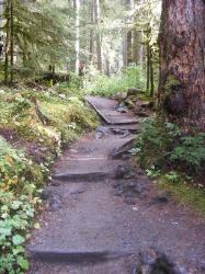 Sol Duc Trail Images