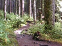 Sol Duc Trail Images