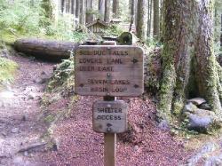 Sol Duc Trail Images