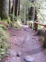Sol Duc Trail Images
