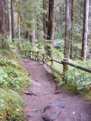 Sol Duc Trail Images