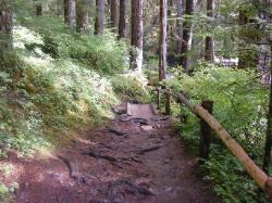 Sol Duc Trail Images