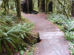 Sol Duc Trail Head