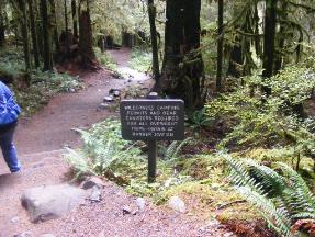 Sol Duc Trail Head