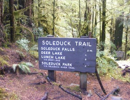 Sol Duc Trail 