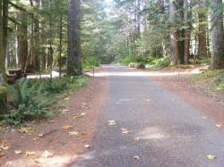 Staircase Campground  - Olympic National Park