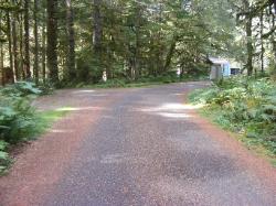 Staircase Campground  - Olympic National Park