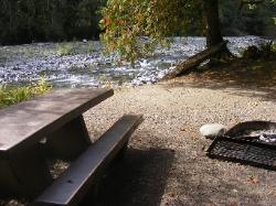 Staircase Campground Site 10 - Olympic National Park