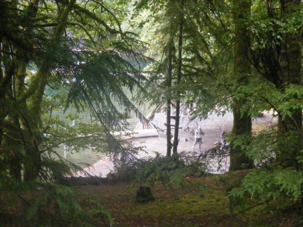 Walk-In Camping Fairholme Campground Olympic National Park