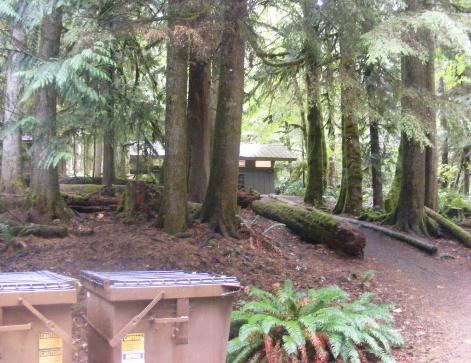Walk-In Camping Fairholme Campground Olympic National Park
