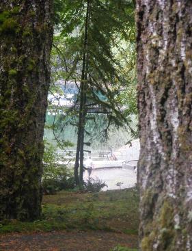 Walk-In Camping Fairholme Campground Olympic National Park