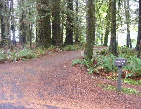 Walk-In Camping Fairholme Campground Olympic National Park