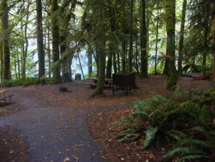 Walk-In Camping Fairholme Campground Olympic National Park