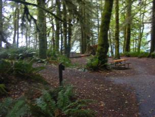 Walk-In Camping Fairholme Campground Olympic National Park
