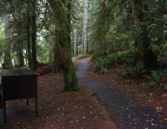 Walk-In Camping Fairholme Campground Olympic National Park