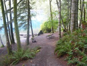 Walk-In Camping Fairholme Campground Olympic National Park
