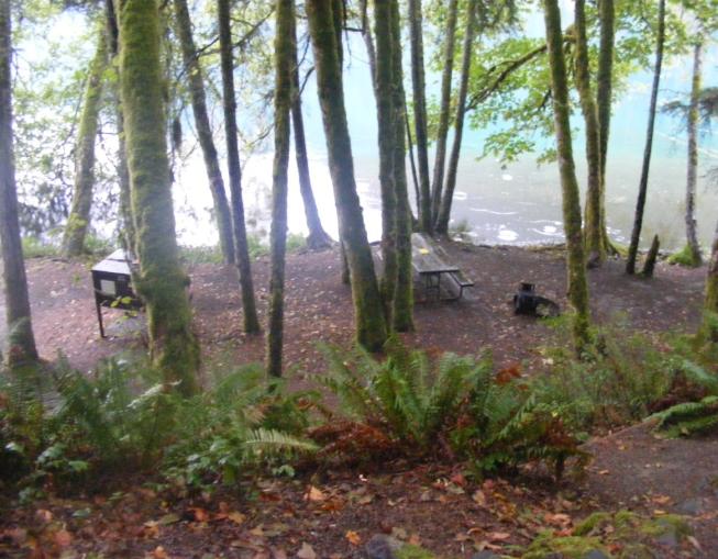 Walk-In Camping Fairholme Campground Olympic National Park
