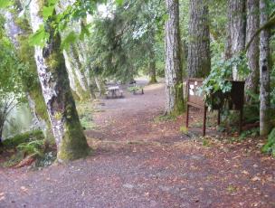 Walk-In Camping Fairholme Campground Olympic National Park
