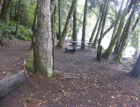 Walk-In Camping Fairholme Campground Olympic National Park
