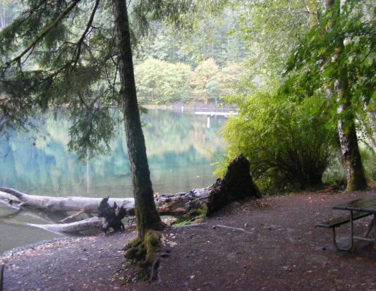 Walk-In Camping Fairholme Campground Olympic National Park