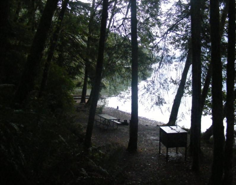 Walk-In Camping Fairholme Campground Olympic National Park