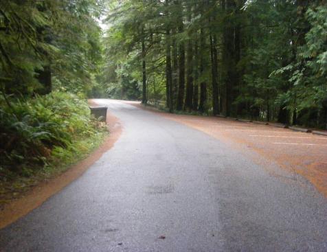 Walk-In Camping Fairholme Campground Olympic National Park