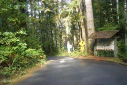 Willaby Campground Road  Olympic National Park