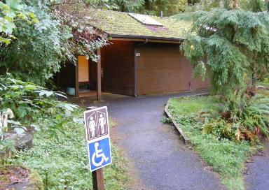 Willaby Campground Lake Quinault Olympic National Park