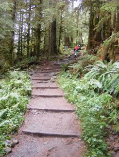 Sol Duc Trail Head